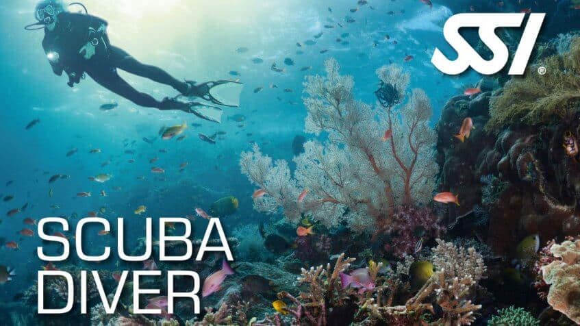 SSI Scuba Diver, Price list,